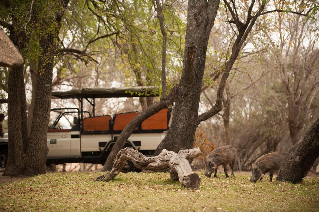 הודספרויט Moditlo River Lodge מראה חיצוני תמונה